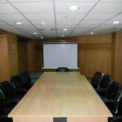 Executive suite to lease in Cairo