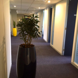 Image of Cape Town office space